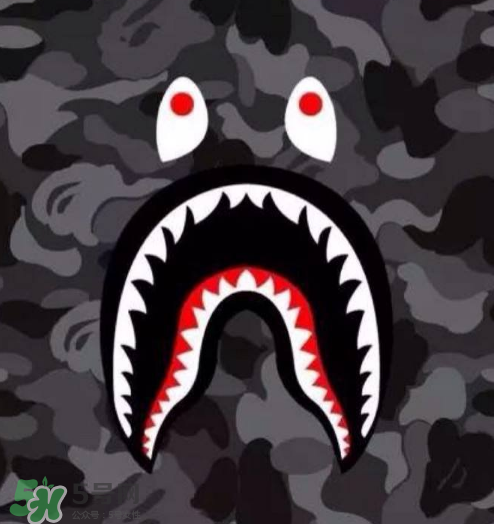 a bathing ape新款鯊魚短褲多少錢？bape鯊魚短褲專柜價格