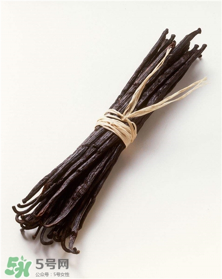 香草莢是什么?香草莢怎么用? 香草莢是什么?香草莢怎么用?