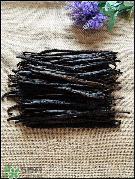 香草莢是什么?香草莢怎么用? 香草莢是什么?香草莢怎么用?
