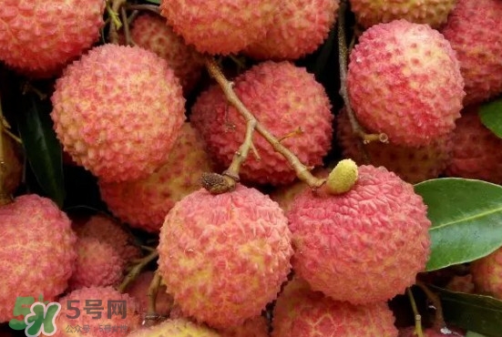 從化荔枝品種有哪些？從化哪里可以摘荔枝