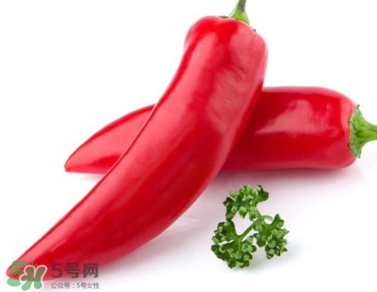 辣椒多少錢(qián)一斤 辣椒怎么保存新鮮不爛 辣椒多少錢(qián)一斤 辣椒怎么保存新鮮不爛