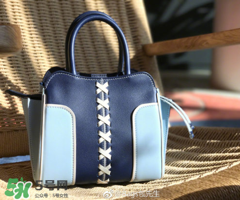 tod's與包先生聯(lián)名合作款折耳包包尺寸多大？