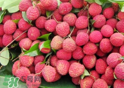 增城荔枝節(jié)是什么時(shí)候？2017年增城荔枝節(jié)時(shí)間