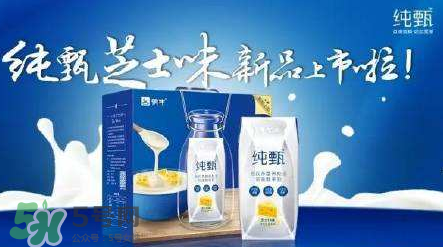 純甄芝士酸奶好喝嗎？純甄芝士酸奶口感如何？