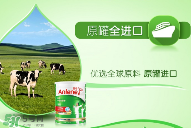 Anlene安怡奶粉怎么樣？Anlene安怡奶粉好不好？