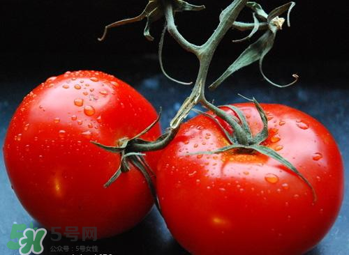 西紅柿爛了一點還能吃嗎？西紅柿爛了能吃嗎？