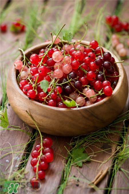 醋栗是什么?醋栗怎么吃? 醋栗是什么?醋栗怎么吃?