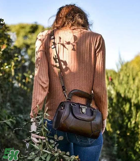 beara beara是什么牌子？beara beara的包怎么樣？