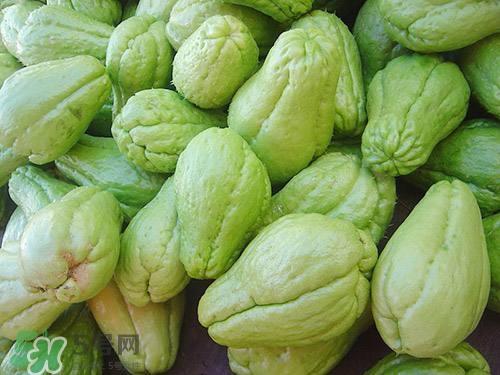 佛手瓜汁沾到手上怎樣洗？佛手瓜怎么做好吃？