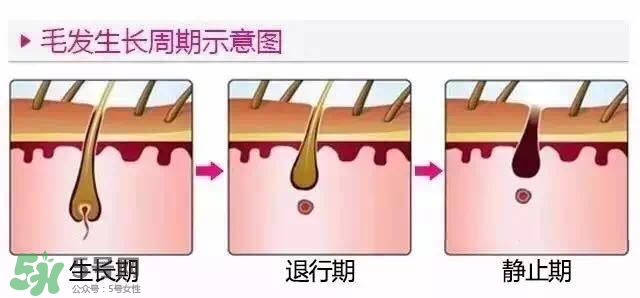 脫毛的方法有幾種 脫毛的方法有哪些 脫毛的方法有幾種 脫毛的方法有哪些