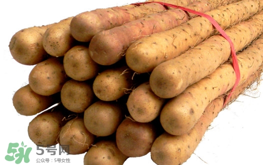 淮山藥是鐵棍山藥嗎？淮山藥和鐵棍山藥的區(qū)別