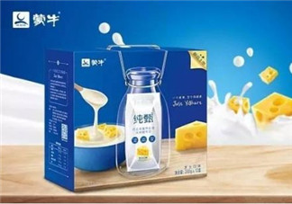 純甄芝士酸奶好喝嗎？純甄芝士酸奶口感如何？