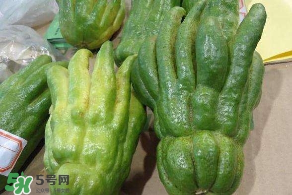 佛手與佛手瓜有什么區(qū)別？佛手與佛手鉗有什么區(qū)別