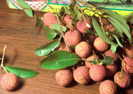 增城荔枝什么時(shí)候成熟？增城的荔枝品種有哪些？