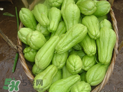 佛手瓜是涼性還是熱性？佛手瓜是什么樣子？