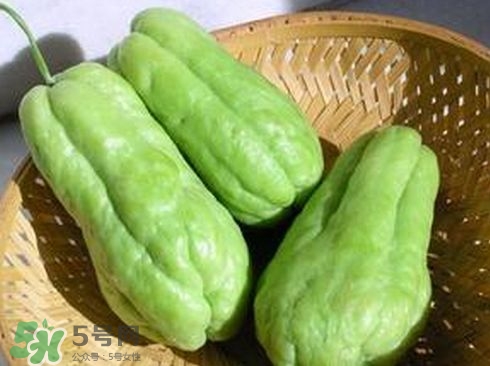 佛手瓜汁沾到手上怎樣洗？佛手瓜怎么做好吃？