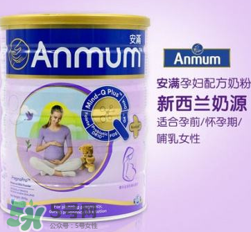 安滿和惠氏孕婦奶粉哪個好？安滿和惠氏孕婦奶粉的區(qū)別