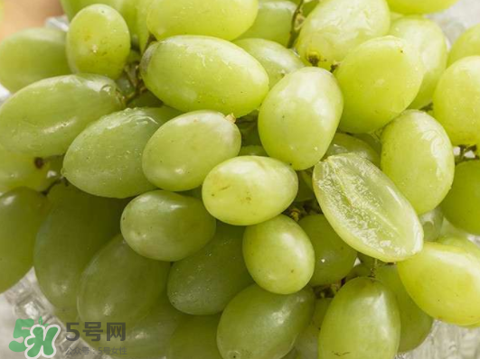 ?青提和葡萄有什么區(qū)別？?青提是葡萄嗎？
