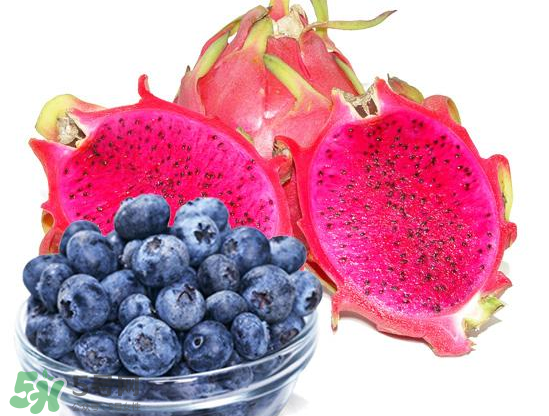 藍(lán)莓和火龍果能一起吃嗎？藍(lán)莓和火龍果能榨汁嗎？