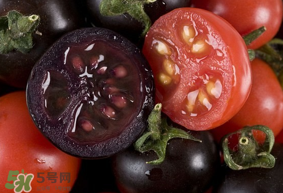 藍(lán)莓和番茄能一起吃嗎？藍(lán)莓和西紅柿能一起吃嗎？