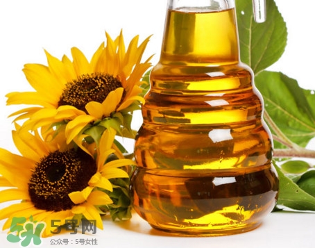 食用油種類有哪些？食用油哪個牌子好