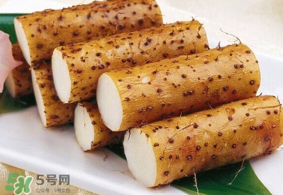 懷山藥是生山藥嗎？懷山藥是鐵棍山藥嗎