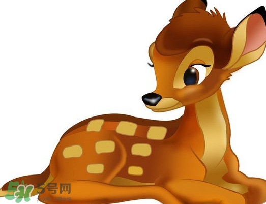 斑比跪是什么意思？斑比跪是什么坐勢