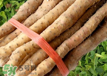 懷山藥可以生吃嗎？懷山藥怎么吃最好