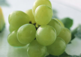 青提是轉(zhuǎn)基因嗎？青提怎么挑？