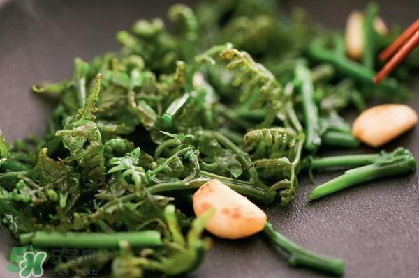 龍須菜怎么清洗？龍須菜怎么處理？