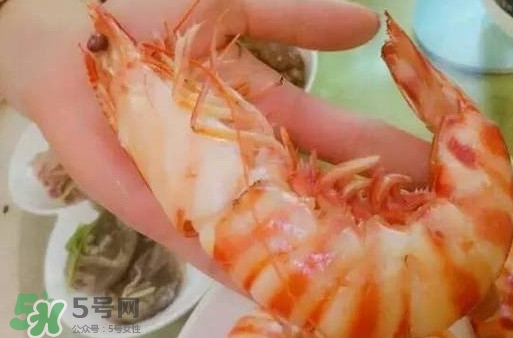 九節(jié)蝦是海蝦嗎？九節(jié)蝦是海蝦還是河蝦