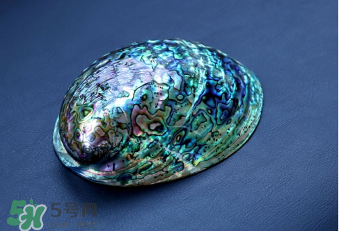 nike foamposite one abalone鮑魚噴什么時候發(fā)售？