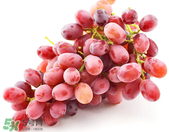 無(wú)籽紅提有涂避孕藥嗎？無(wú)籽紅提是轉(zhuǎn)基因嗎？