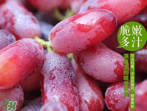 無(wú)籽紅提有涂避孕藥嗎？無(wú)籽紅提是轉(zhuǎn)基因嗎？