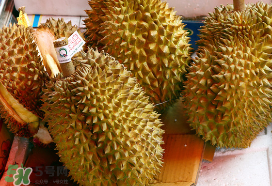 托曼尼榴蓮怎么才是熟？托曼尼榴蓮怎么看生熟？