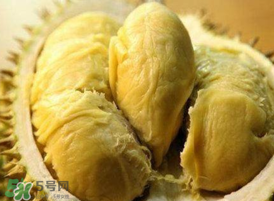 托曼尼榴蓮多少錢？托曼尼榴蓮是哪里的？