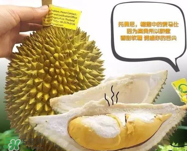 托曼尼榴蓮又叫什么？托曼尼榴蓮簡介