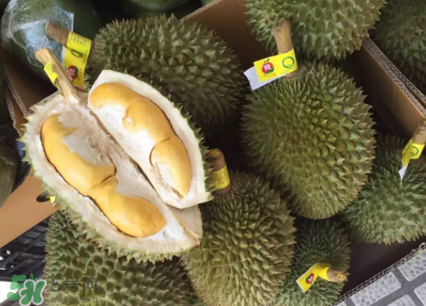 托曼尼榴蓮又叫什么？托曼尼榴蓮簡介