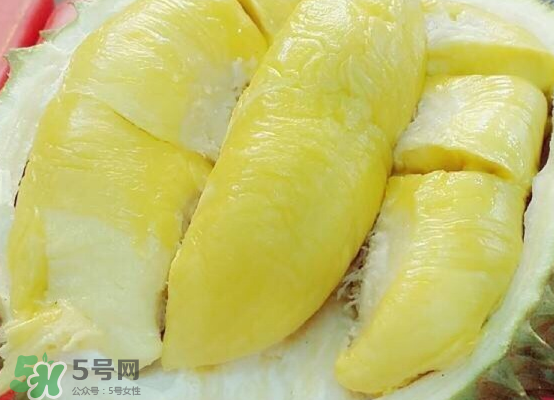 托曼尼榴蓮多大？托曼尼榴蓮好吃嗎？