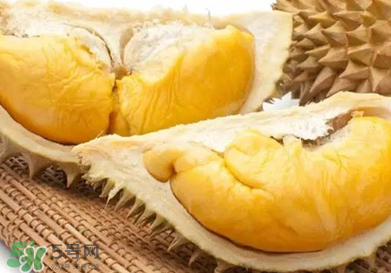 托曼尼榴蓮多大？托曼尼榴蓮好吃嗎？