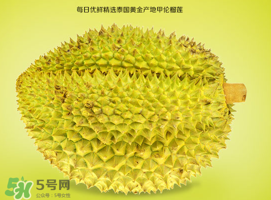 甲侖榴蓮和金枕哪個貴？甲侖榴蓮和金枕的區(qū)別