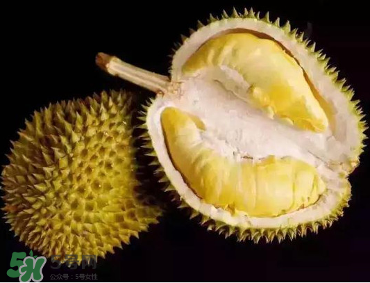 泰國甲倫榴蓮好吃嗎？甲倫榴蓮的特點(diǎn)