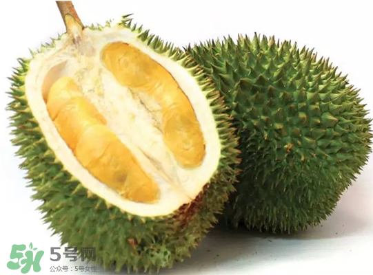泰國甲倫榴蓮好吃嗎？甲倫榴蓮的特點(diǎn)