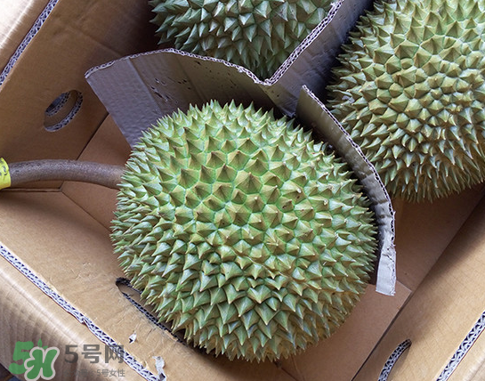 干堯榴蓮怎么樣算熟了？干堯榴蓮怎么挑選？