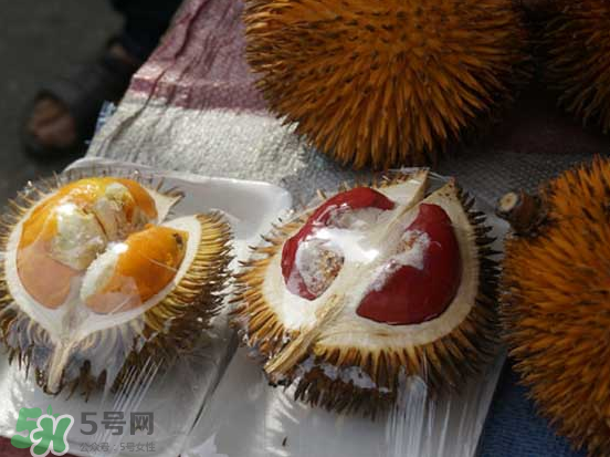 榴蓮核可以煲湯嗎？榴蓮核可以煲雞湯嗎？