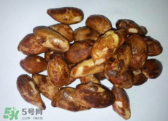 榴蓮核可以煲湯嗎？榴蓮核可以煲雞湯嗎？