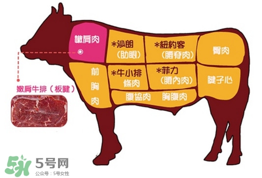 牛排是牛的哪個(gè)部位？牛排是牛身上哪塊肉？