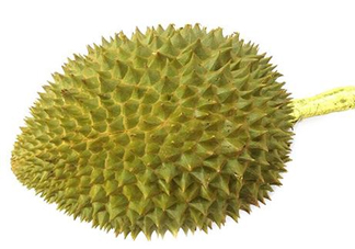 托曼尼榴蓮多少錢？托曼尼榴蓮是哪里的？