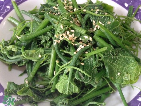 龍須菜怎么清洗？龍須菜怎么處理？