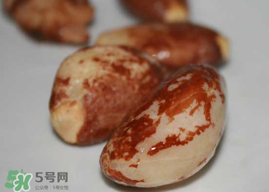 榴蓮核可以煲湯嗎？榴蓮核可以煲雞湯嗎？